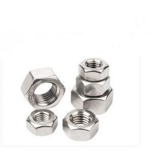Alternative view of Ecu inox